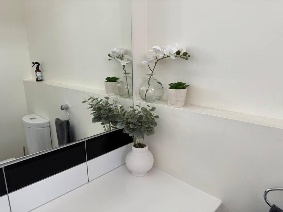 4 Large Bedroom Apartment In The City Hastings Exteriör bild